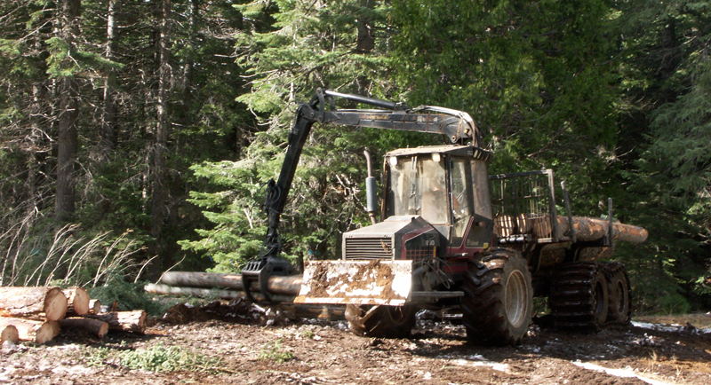 skidder  dispositivo congegno per disboscamento e silvicoltura Forwarder
