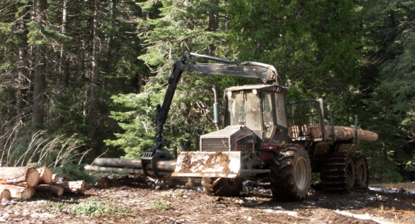Valmet, forwarder, logs, logging