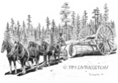 Logging, Horses, horse logging, skidding, historic logging