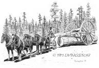 Logging, Horses, horse logging, skidding, historic logging