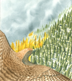 Firestorm, watercolor, wildfire