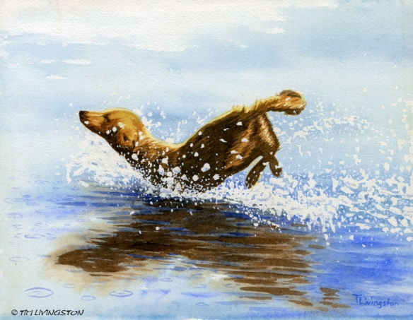 Golden retriever, watercolor, watercolour, dog