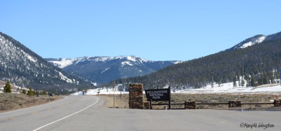 Entering Yellowstone National Park. We cross through the northwest corner of the park.
