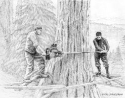 pen and ink, vintage logging art, logging art