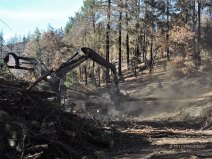 Carr Fire, wildfire, timber, salvage logging, forest, forestry, logging